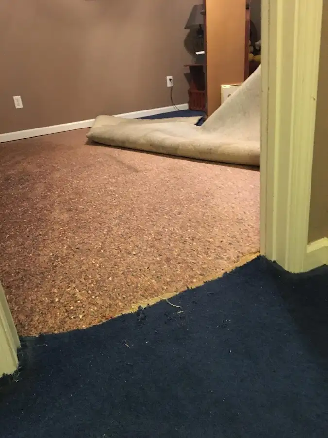 Carpet pad removal revealing water damage during Drying & Dehumidification in Abington