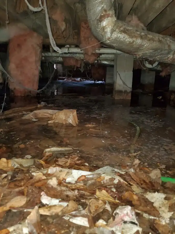 Crawl space flood assessment for Leak Detection & Repair in Abington